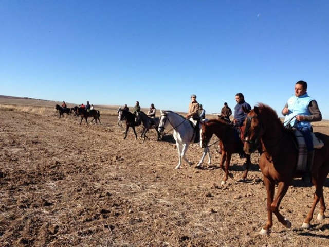 Galop 